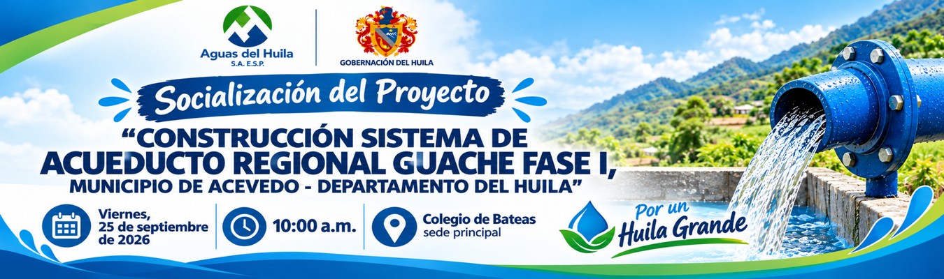Socialización del Proyecto