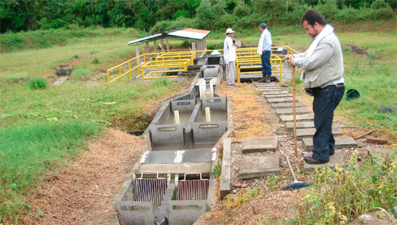 Principales proyectos desarrollados en la vigencia 2012